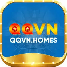 Qqvn icon